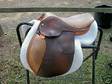 BEVAL JUNIOR Saddle Size 14 English Close Contact